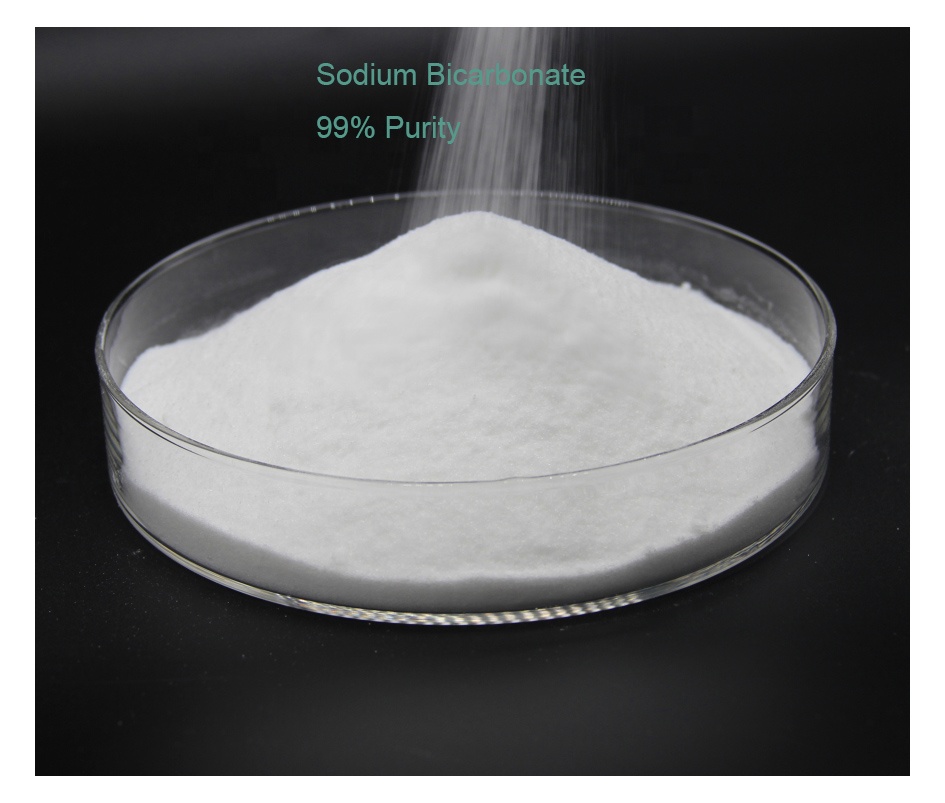 99% Pure Sodium Bicarbonate Powder - Reasonably priced Manufacturing facility Direct Baking Soda (CAS 144-55-8)