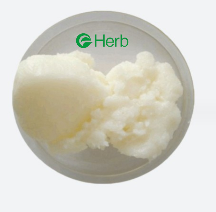 Eherb Provide Natural Refined Shea Butter - Wholesale