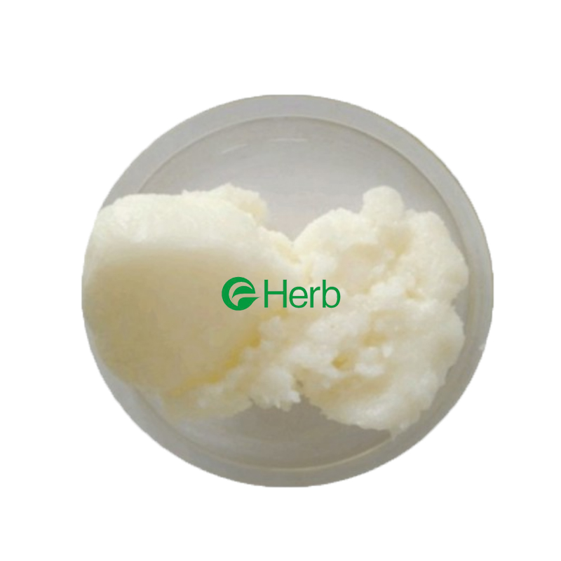 Eherb Provide Natural Refined Shea Butter – Wholesale